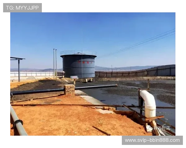 宝盈集团介绍：宝盈集团的可持续发展目标与环保措施介绍